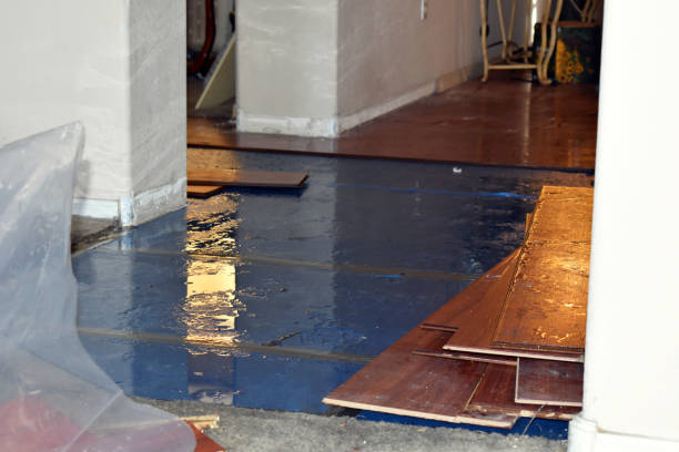 Professional Flood Damage Repair technician working in New Hyde Park, NY